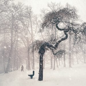 El Poder del Coaching: Descubre la Resiliencia y el Desarrollo Humano para Renacer y Resurgir